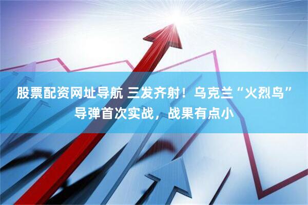 股票配资网址导航 三发齐射！乌克兰“火烈鸟”导弹首次实战，战果有点小