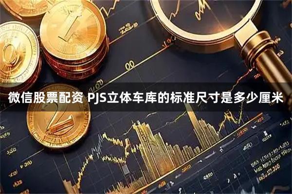 微信股票配资 PJS立体车库的标准尺寸是多少厘米